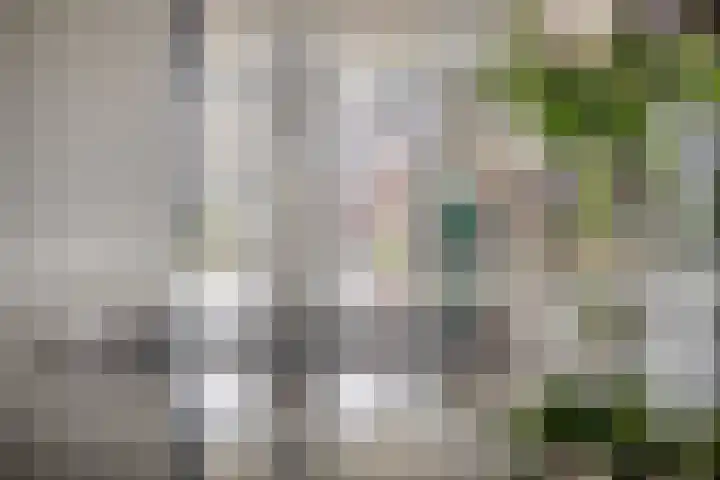 Hopveld 14 Lieshout thumbnail 21
