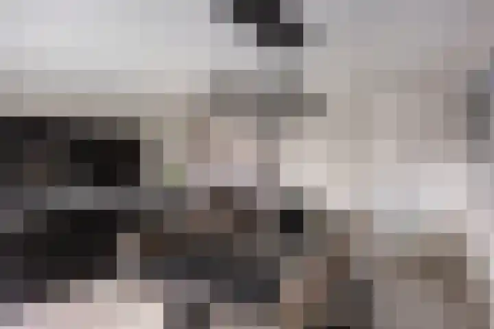 Hopveld 14 Lieshout thumbnail 23