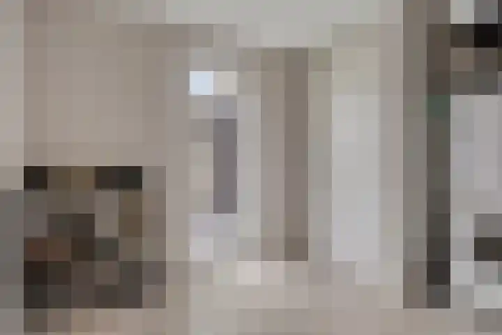 Hopveld 14 Lieshout thumbnail 25