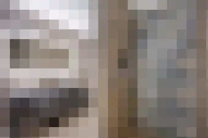 Hopveld 14 Lieshout thumbnail 4