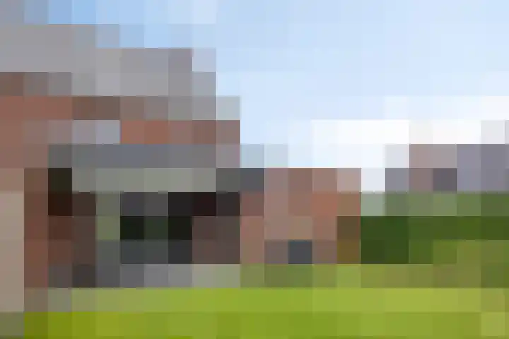Hopveld 14 Lieshout thumbnail 42