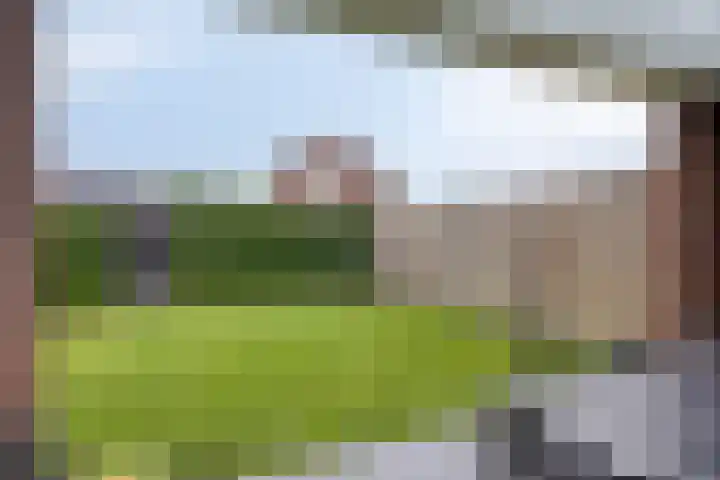 Hopveld 14 Lieshout thumbnail 43