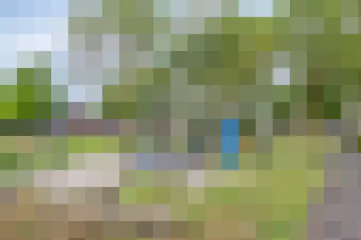 Hopveld 14 Lieshout thumbnail 45