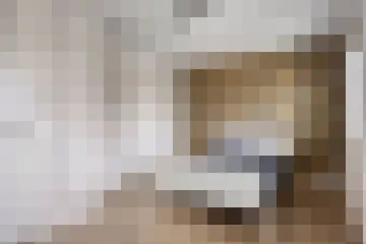 Hopveld 14 Lieshout thumbnail 5