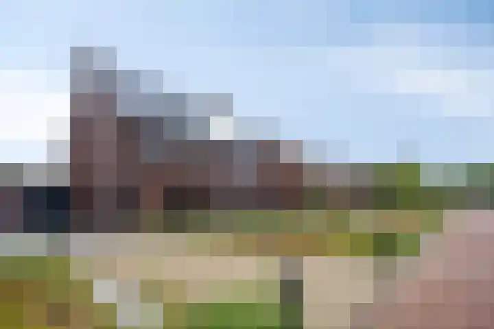 Hopveld 14 Lieshout thumbnail 6
