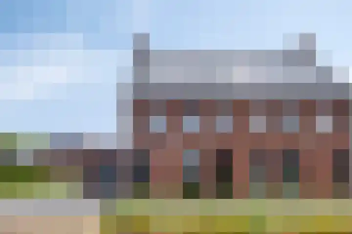 Hopveld 14 Lieshout thumbnail 7