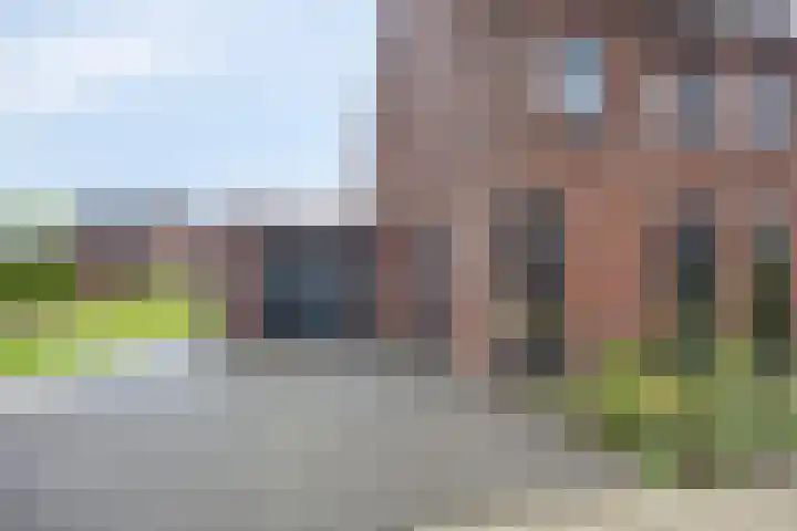 Hopveld 14 Lieshout thumbnail 8