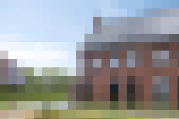Hopveld 14 Lieshout thumbnail 9