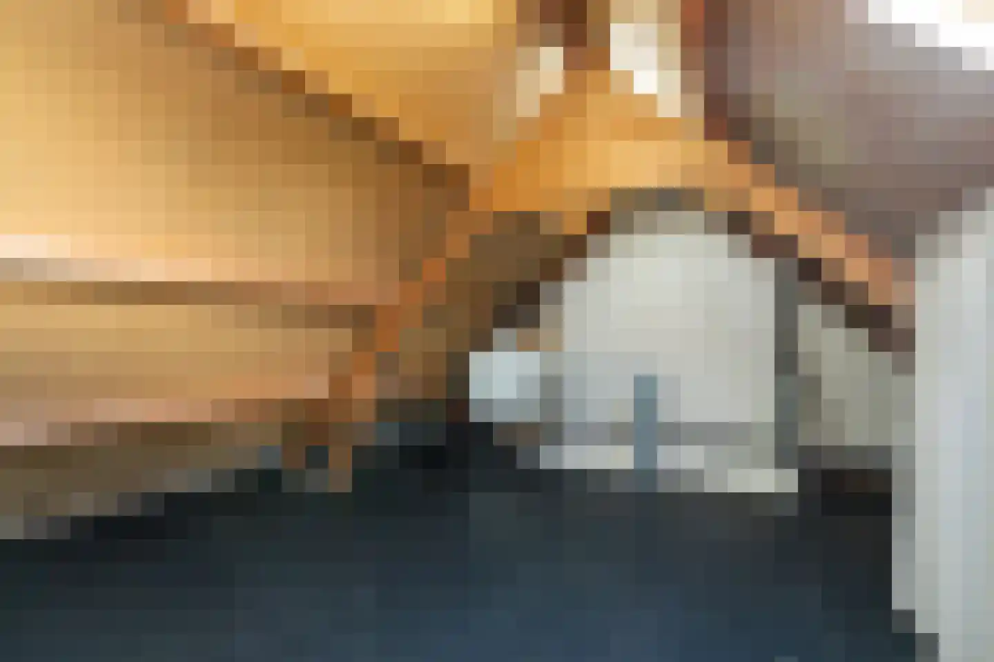 Hopveld 17 Moergestel thumbnail 31