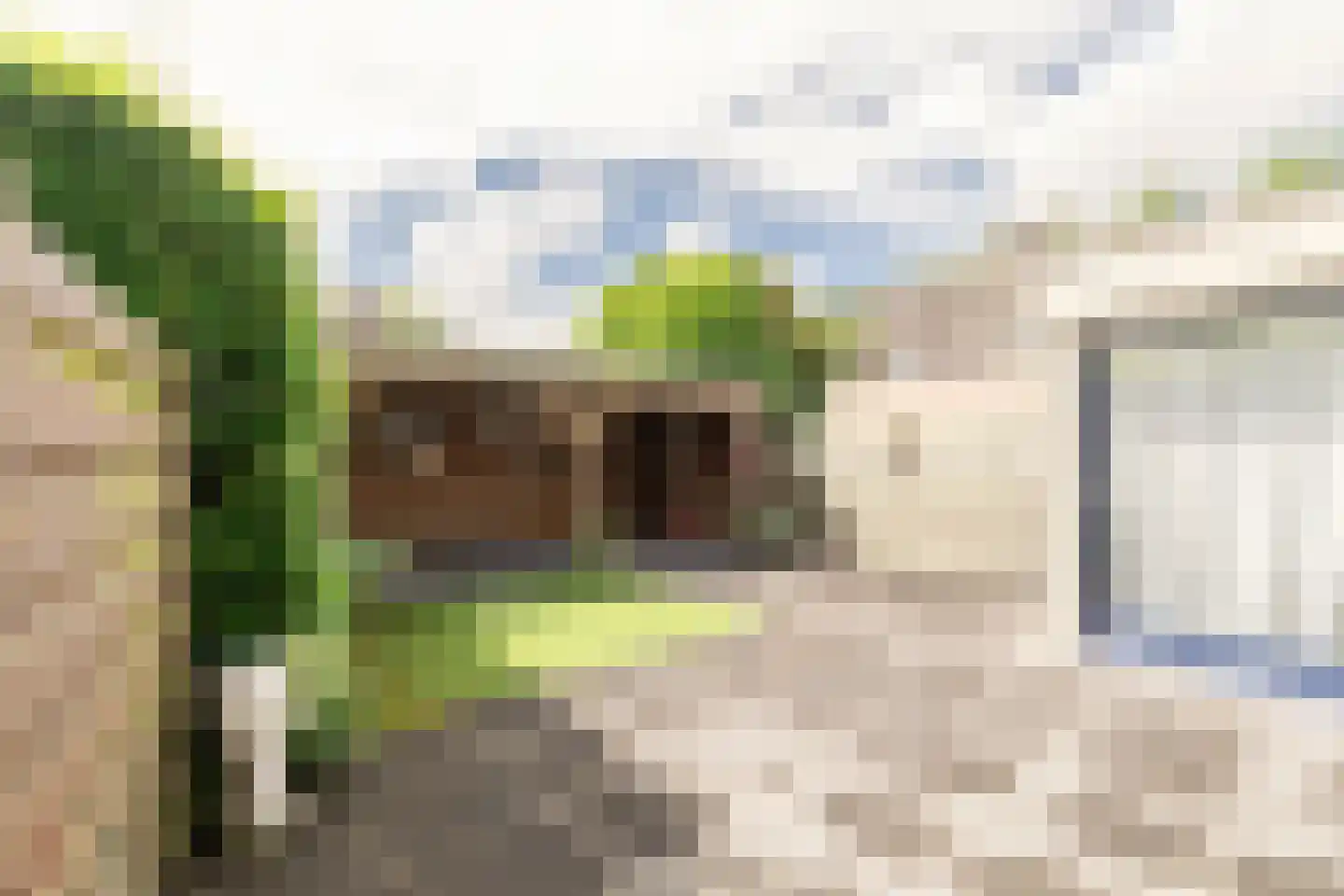 Hopveld 17 Moergestel thumbnail 33