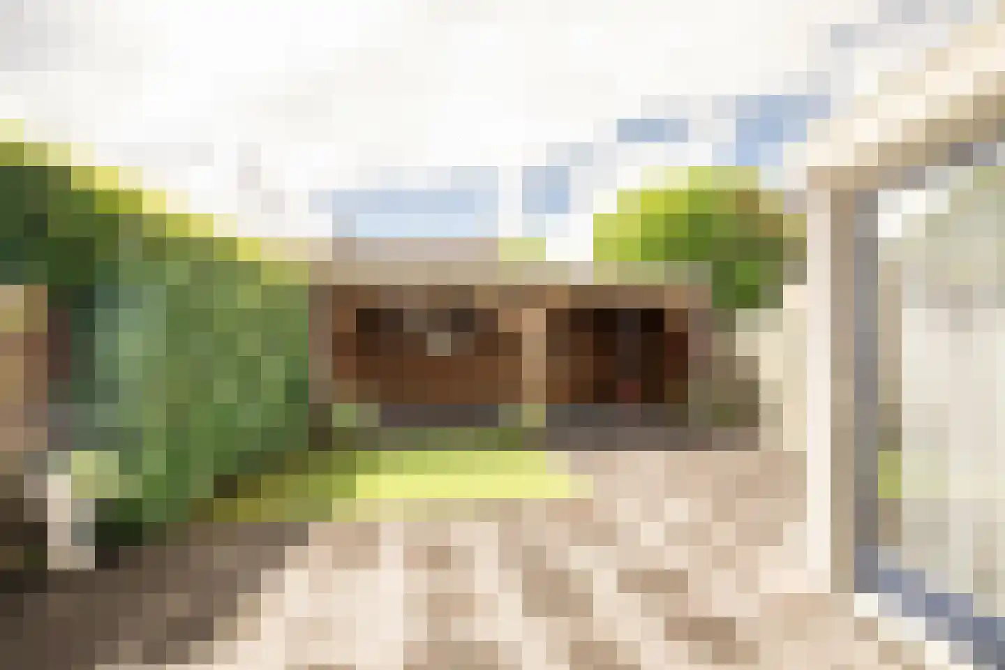 Hopveld 17 Moergestel thumbnail 34