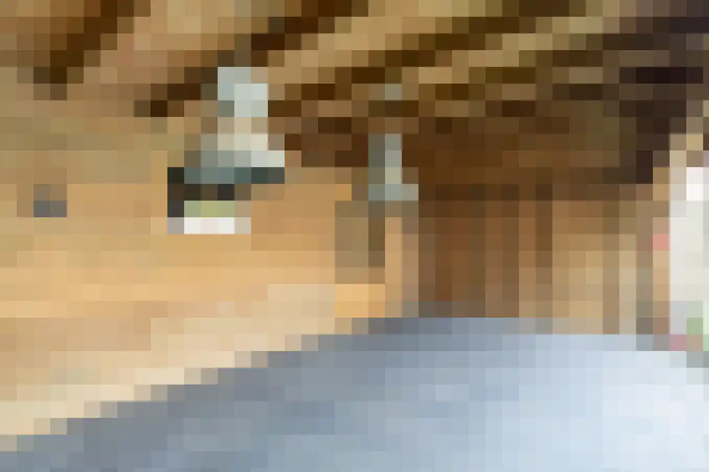 Hopveld 17 Moergestel thumbnail 36