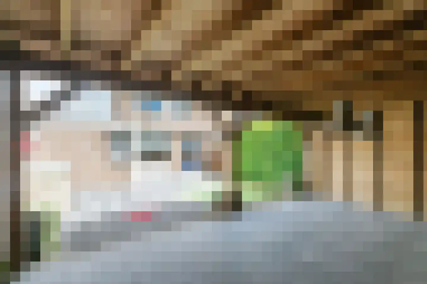 Hopveld 17 Moergestel thumbnail 37