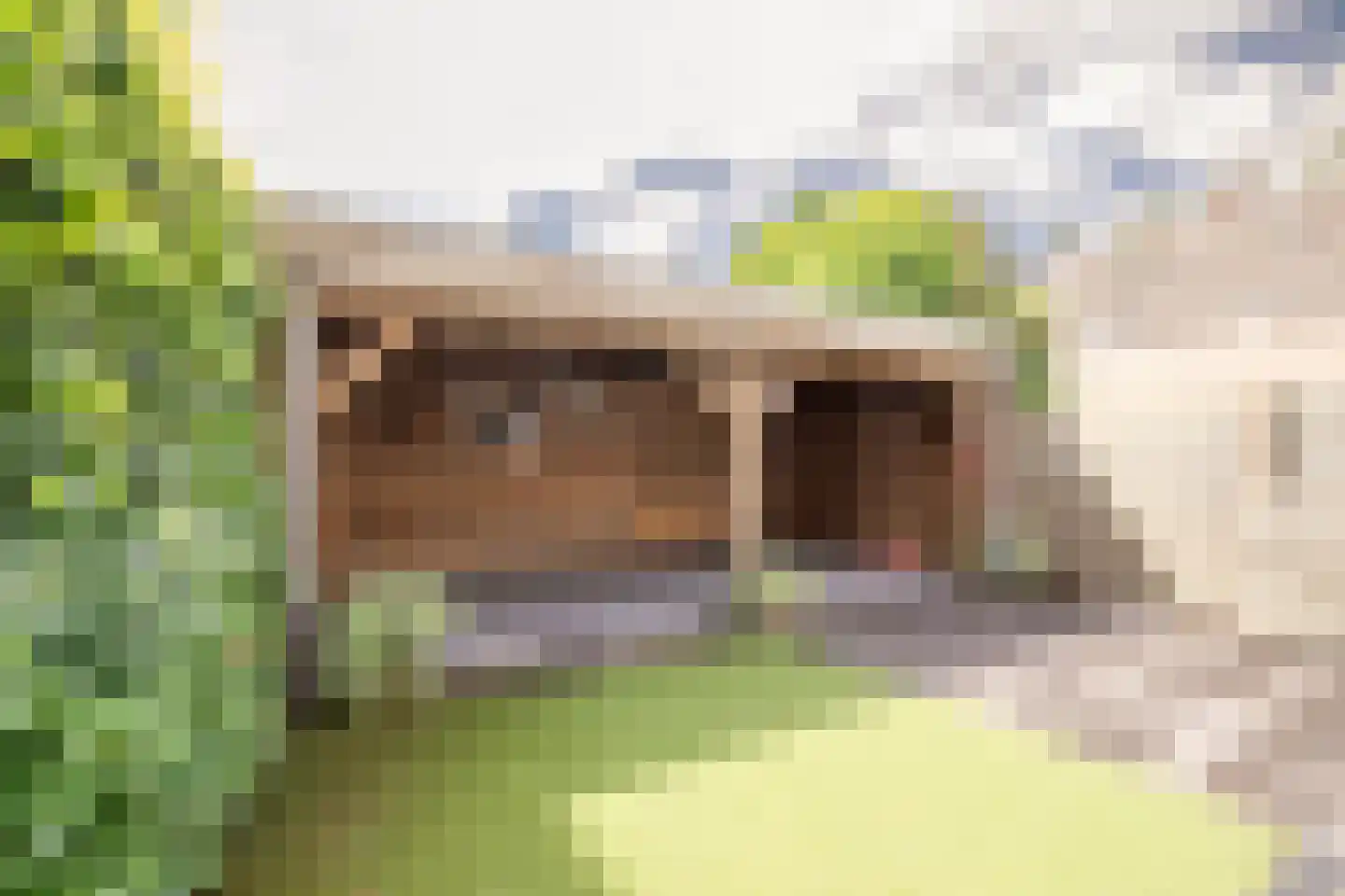 Hopveld 17 Moergestel thumbnail 4