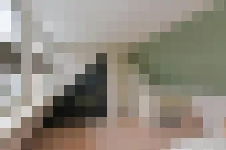 Hopveld 2 Gemert thumbnail 10