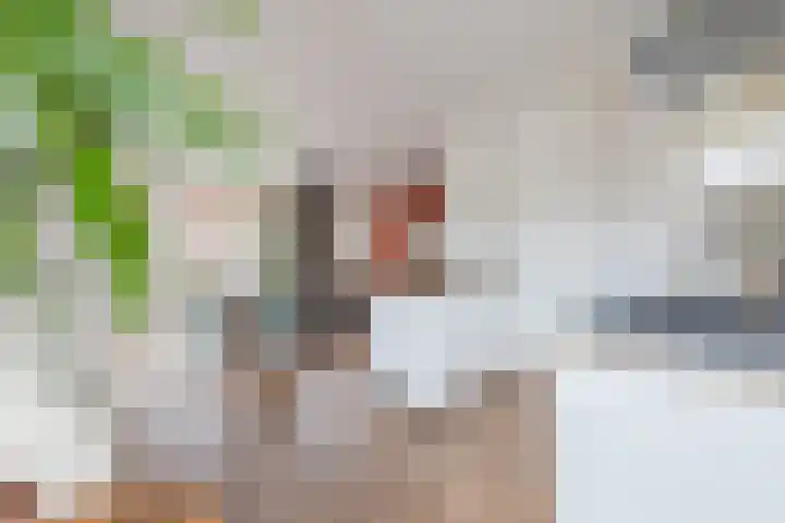 Hopveld 2 Gemert thumbnail 13