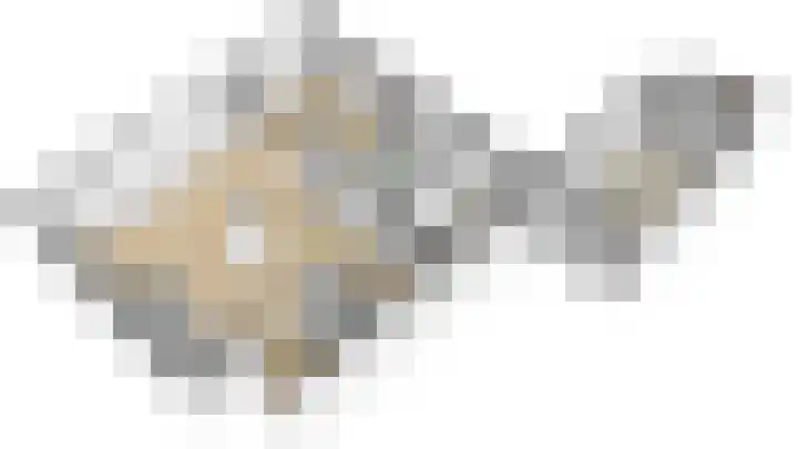 Hopveld 2 Gemert thumbnail 14