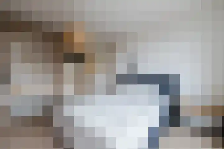 Hopveld 2 Gemert thumbnail 18