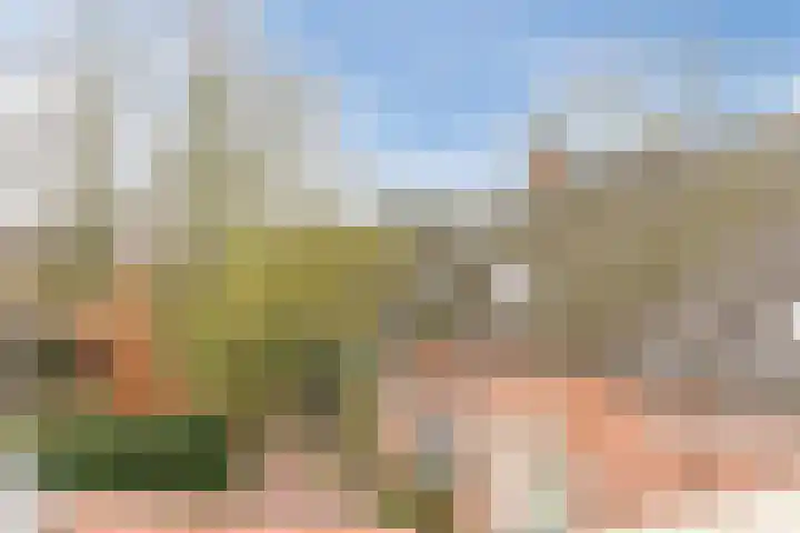 Hopveld 2 Gemert thumbnail 23