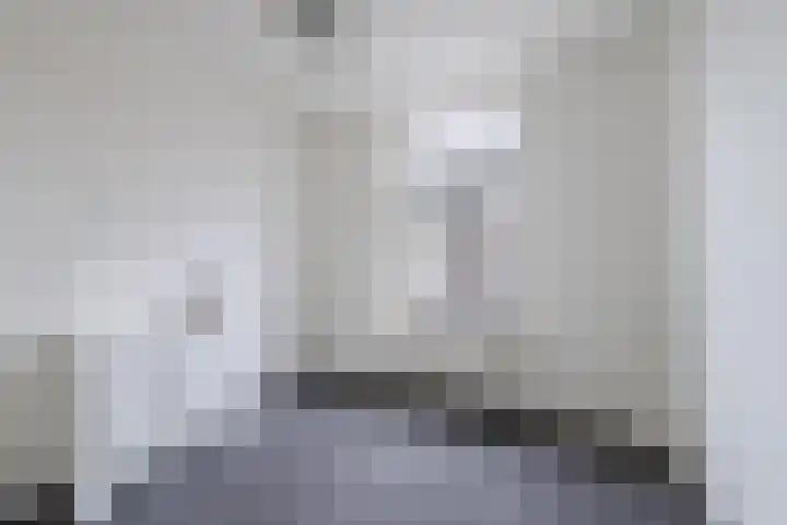 Hopveld 2 Gemert thumbnail 24