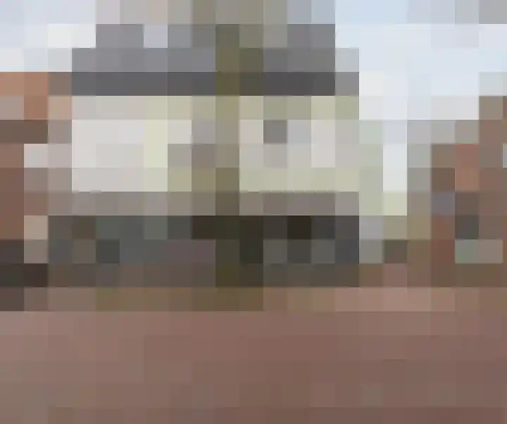 Hopveld 2 Gemert thumbnail 29