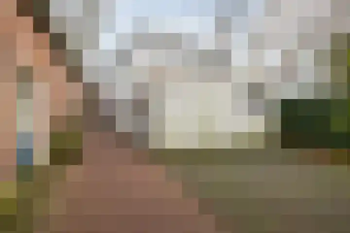 Hopveld 2 Gemert thumbnail 31