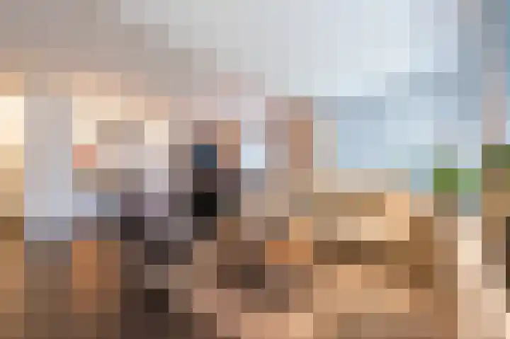 Hopveld 32 Veghel thumbnail 13