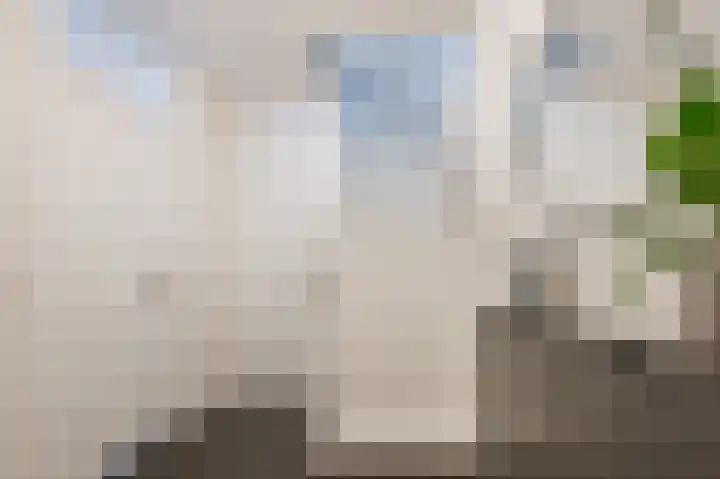 Hopveld 32 Veghel thumbnail 19