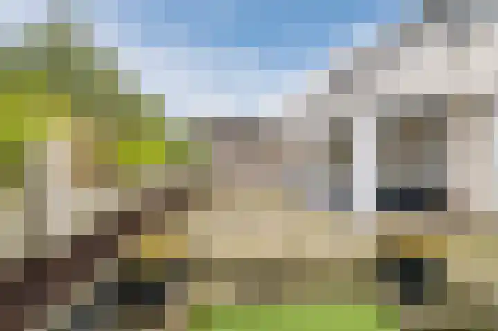 Hopveld 32 Veghel thumbnail 36