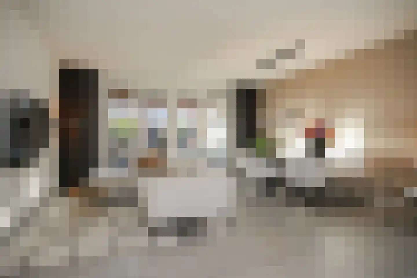 Hopveld 33 Beneden-Leeuwen thumbnail 6