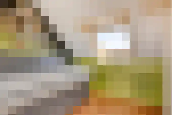 Hopveld 37 Heeswijk-Dinther thumbnail 30