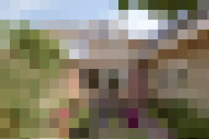 Hopveld 37 Heeswijk-Dinther thumbnail 32