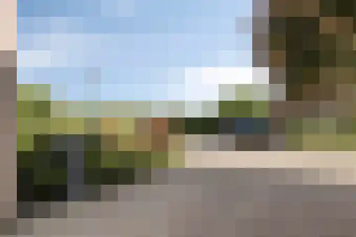 Hopveld 37 Heeswijk-Dinther thumbnail 40