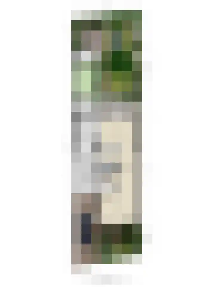 Hopveld 37 Heeswijk-Dinther thumbnail 41