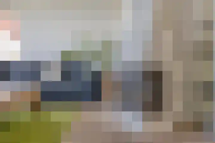 Hopveld 37 Heeswijk-Dinther thumbnail 6