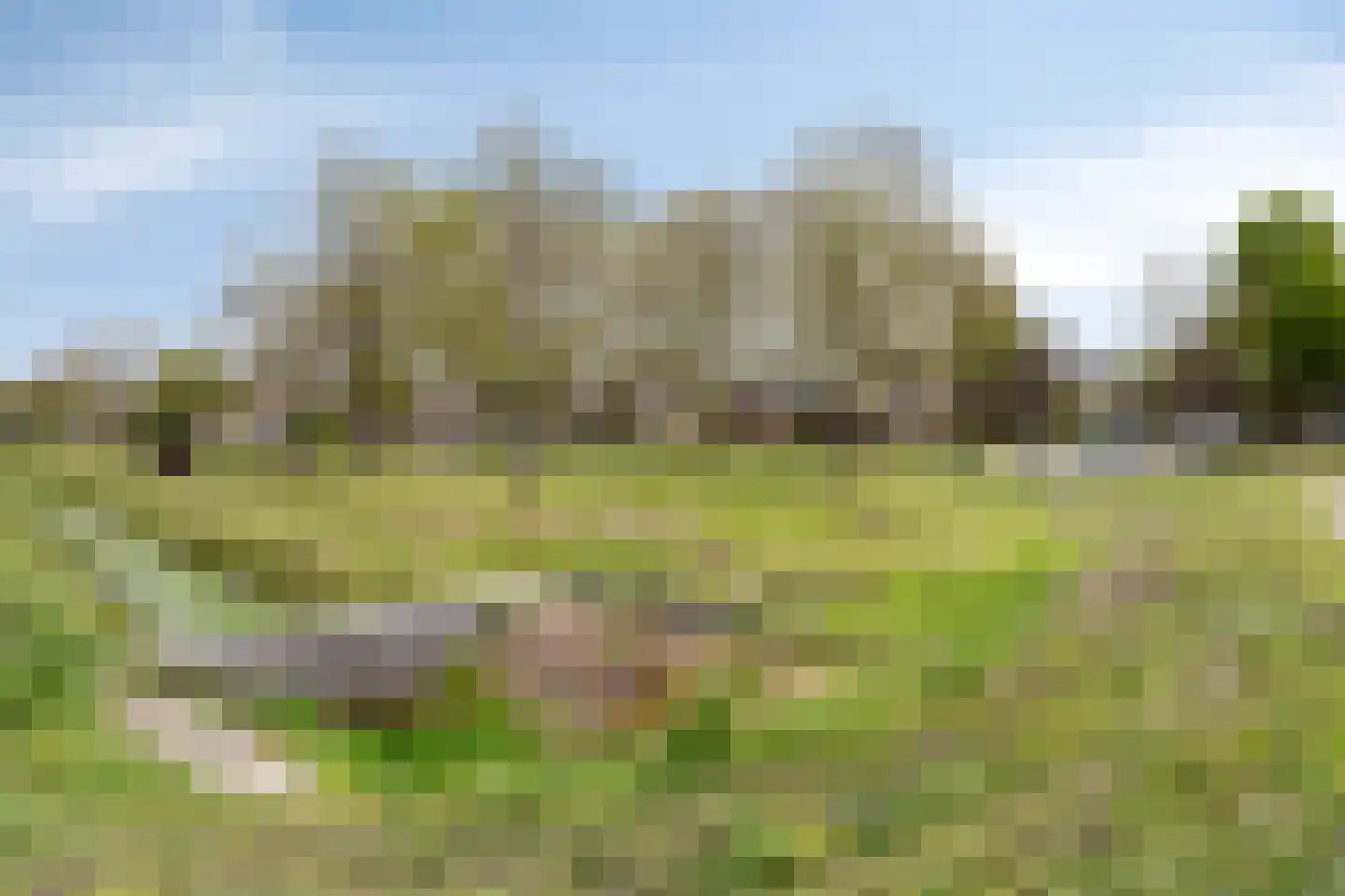 Hopveld 4 Lieshout thumbnail 30