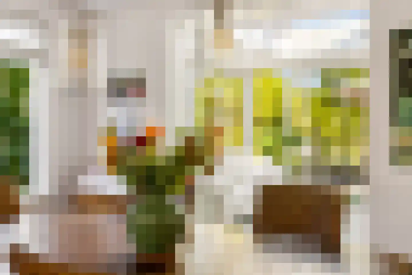 Hopveld 5 Veghel thumbnail 10