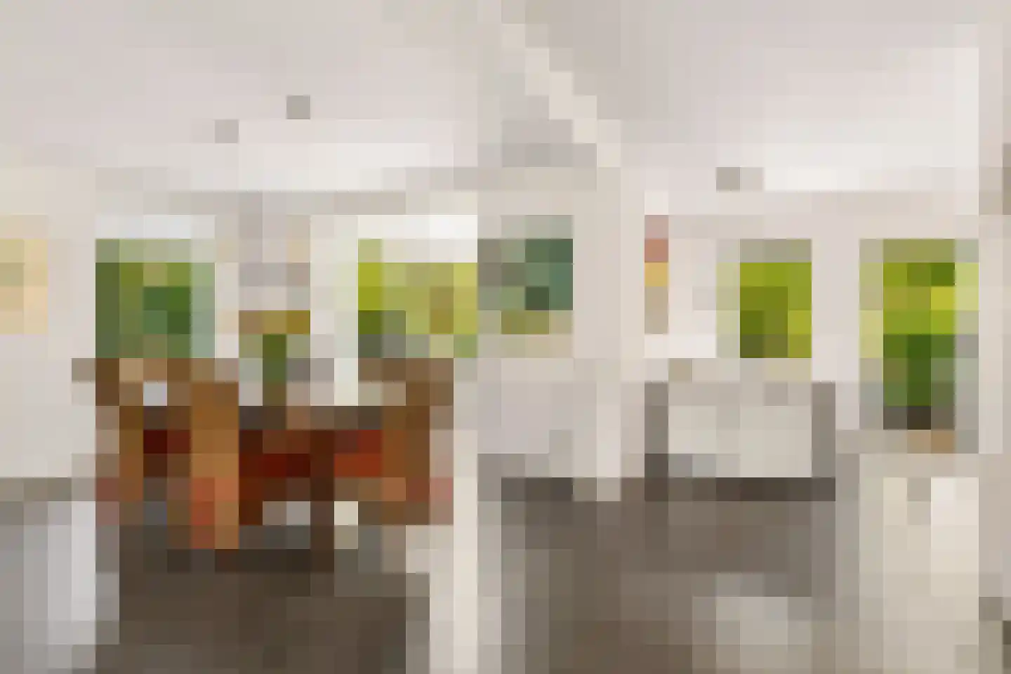 Hopveld 5 Veghel thumbnail 11