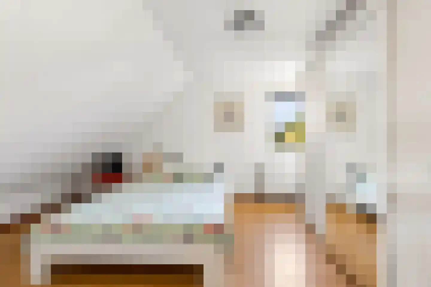 Hopveld 5 Veghel thumbnail 23