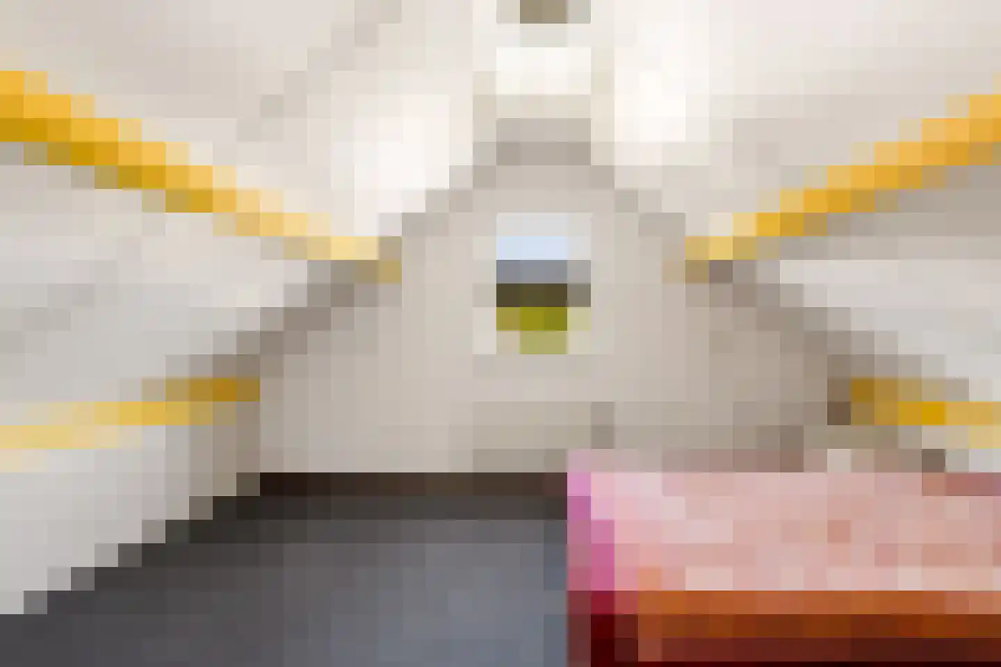 Hopveld 5 Veghel thumbnail 32