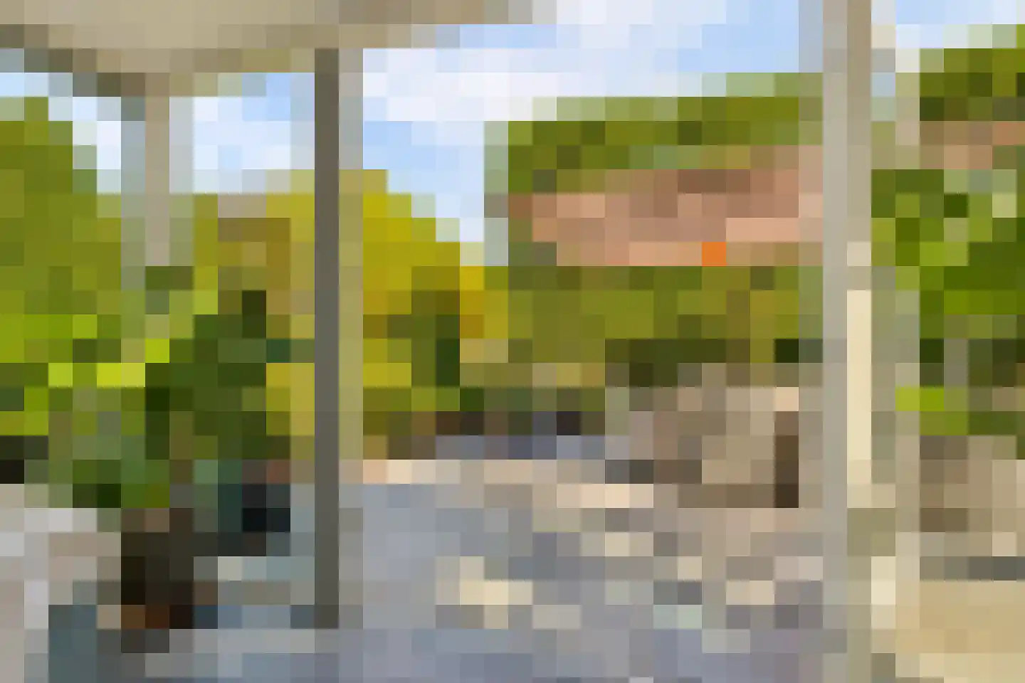 Hopveld 5 Veghel thumbnail 40
