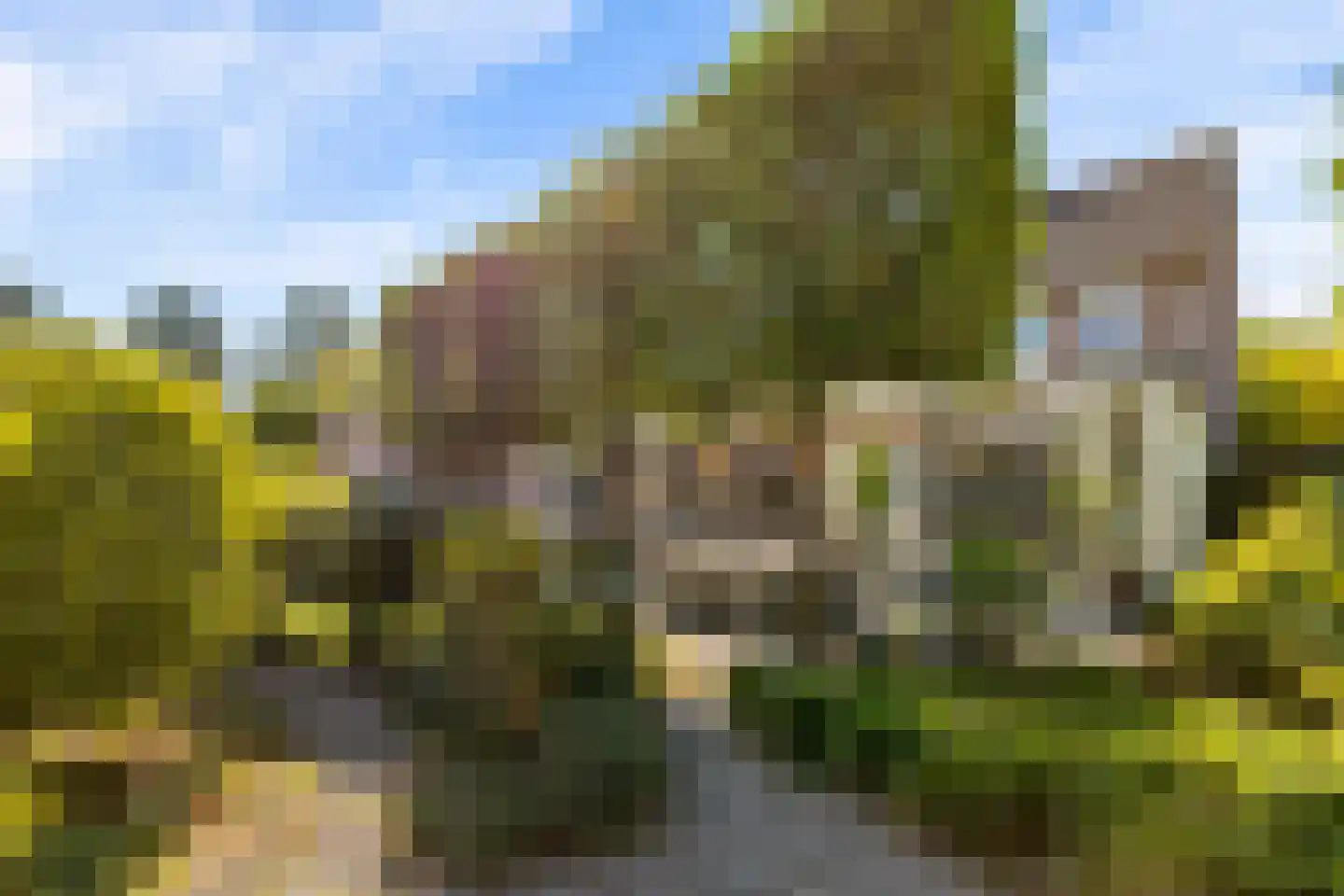 Hopveld 5 Veghel thumbnail 42