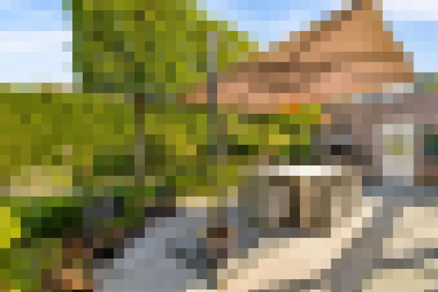 Hopveld 5 Veghel thumbnail 43