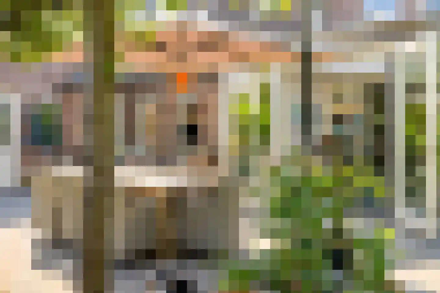 Hopveld 5 Veghel thumbnail 44