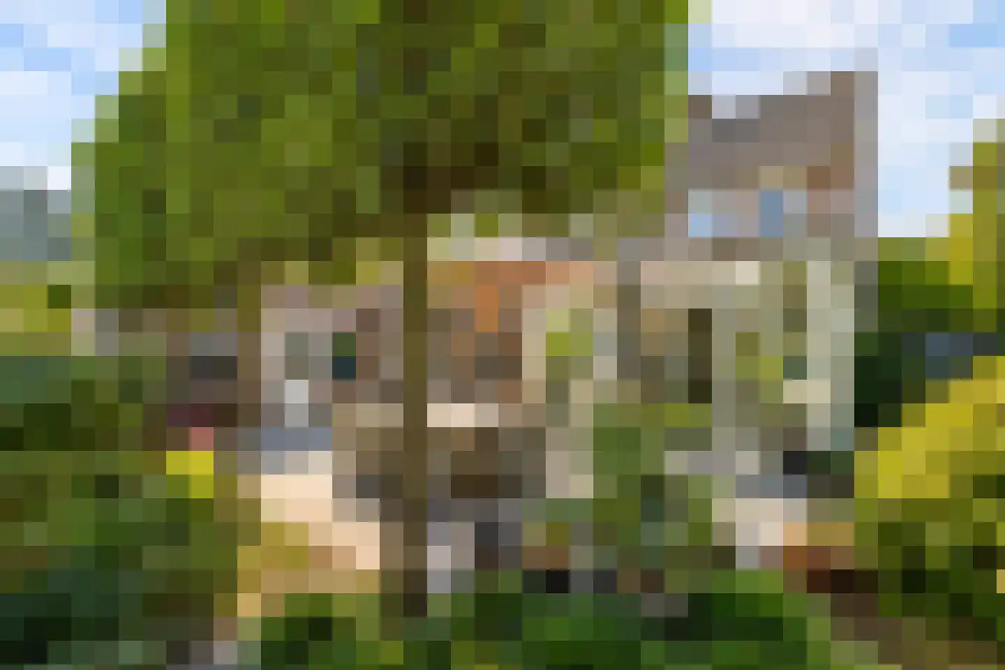 Hopveld 5 Veghel thumbnail 45