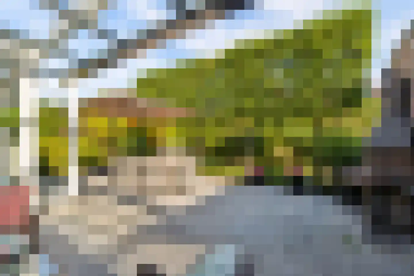 Hopveld 5 Veghel thumbnail 47