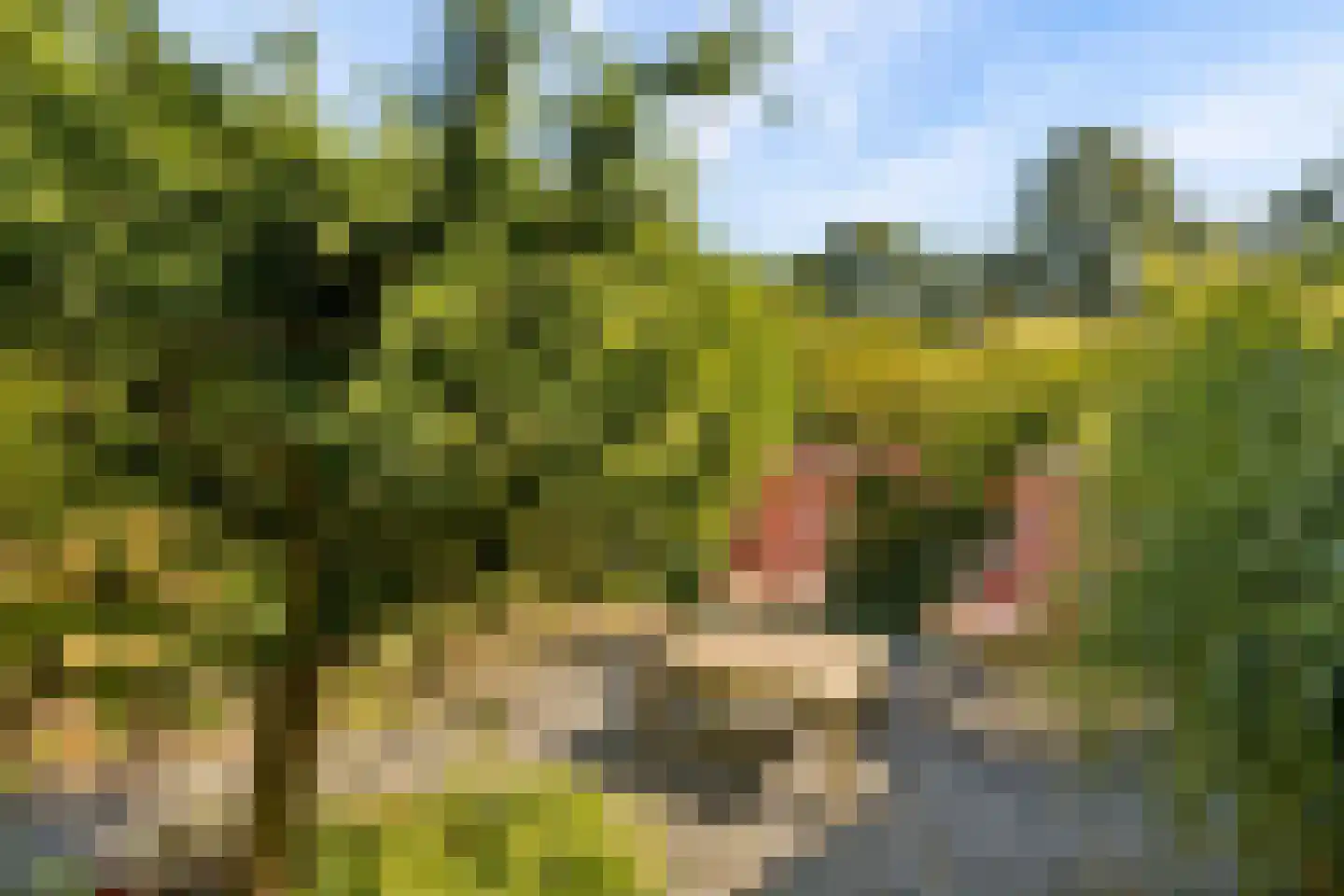 Hopveld 5 Veghel thumbnail 48