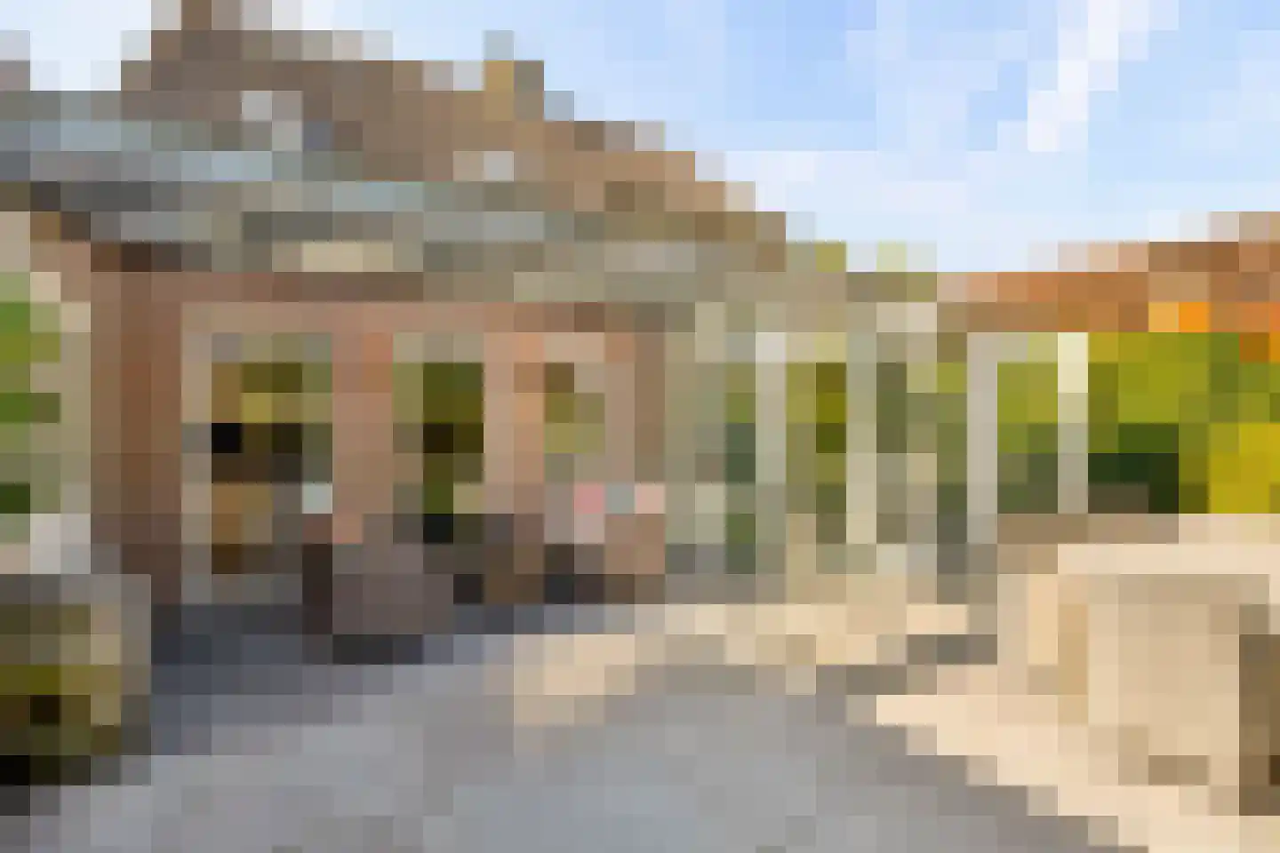 Hopveld 5 Veghel thumbnail 49