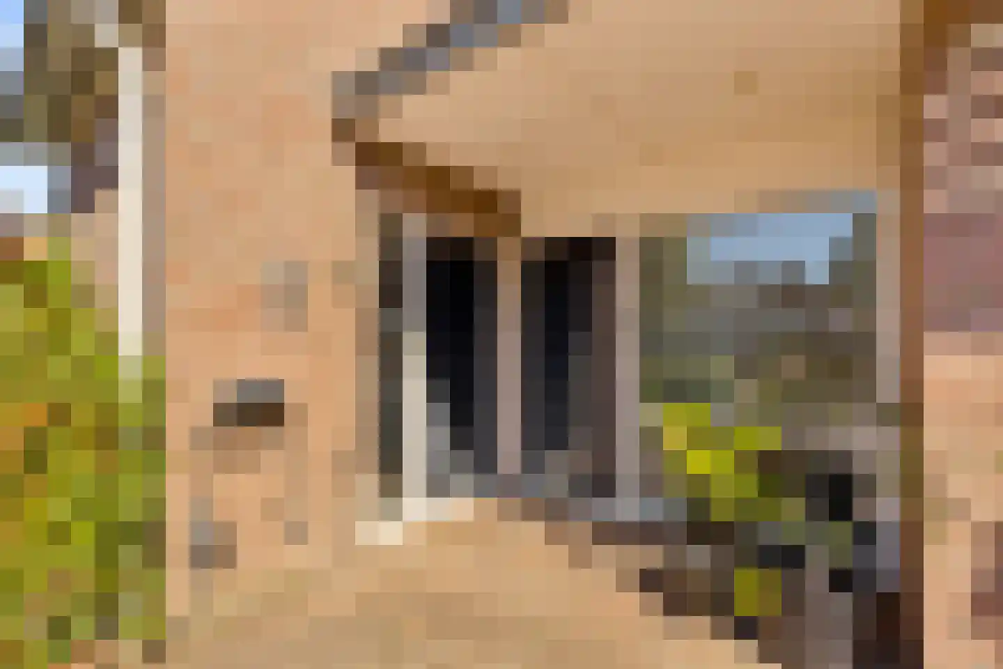 Hopveld 5 Veghel thumbnail 5