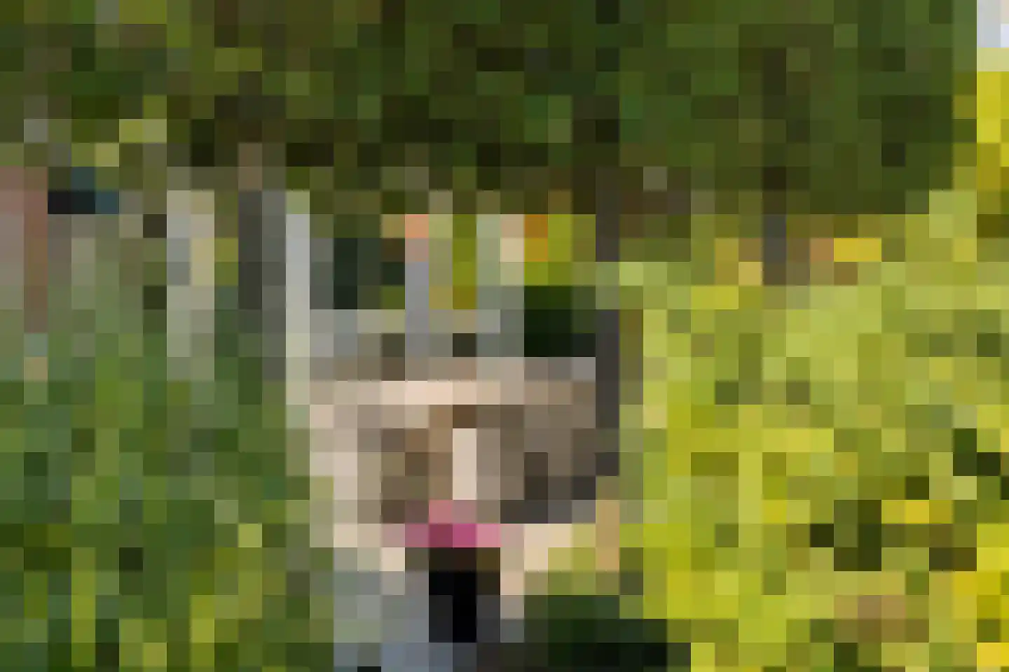 Hopveld 5 Veghel thumbnail 50